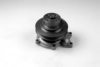 HEPU P280 Water Pump